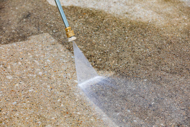 Best Building Exterior Washing  in O, MI
