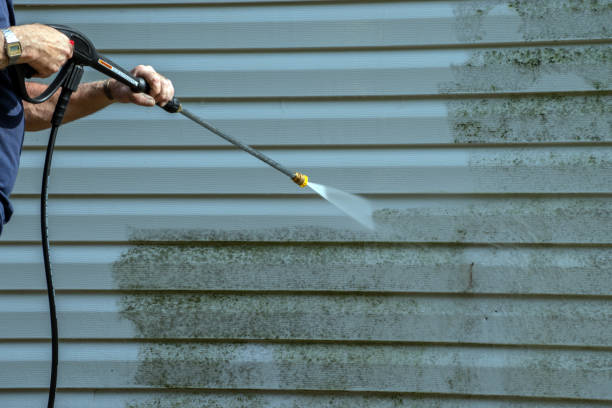 Trusted Mio, MI  Pressure Washing Services Experts